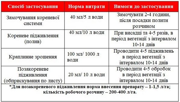 Чорниця застосування